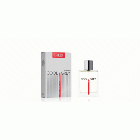 Вода туалетная Dilis Parfum Cool&Grey 100 мл Вода туалетная Dilis Parfum Cool&Grey 100 мл